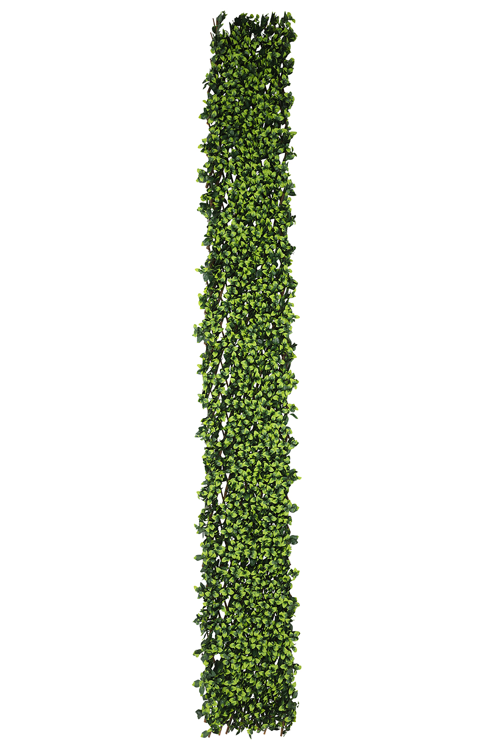 Extendable Artificial Hedging Double Ivy